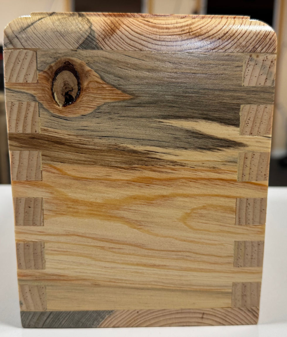 Blue Stain Pine Pet Ash Urn