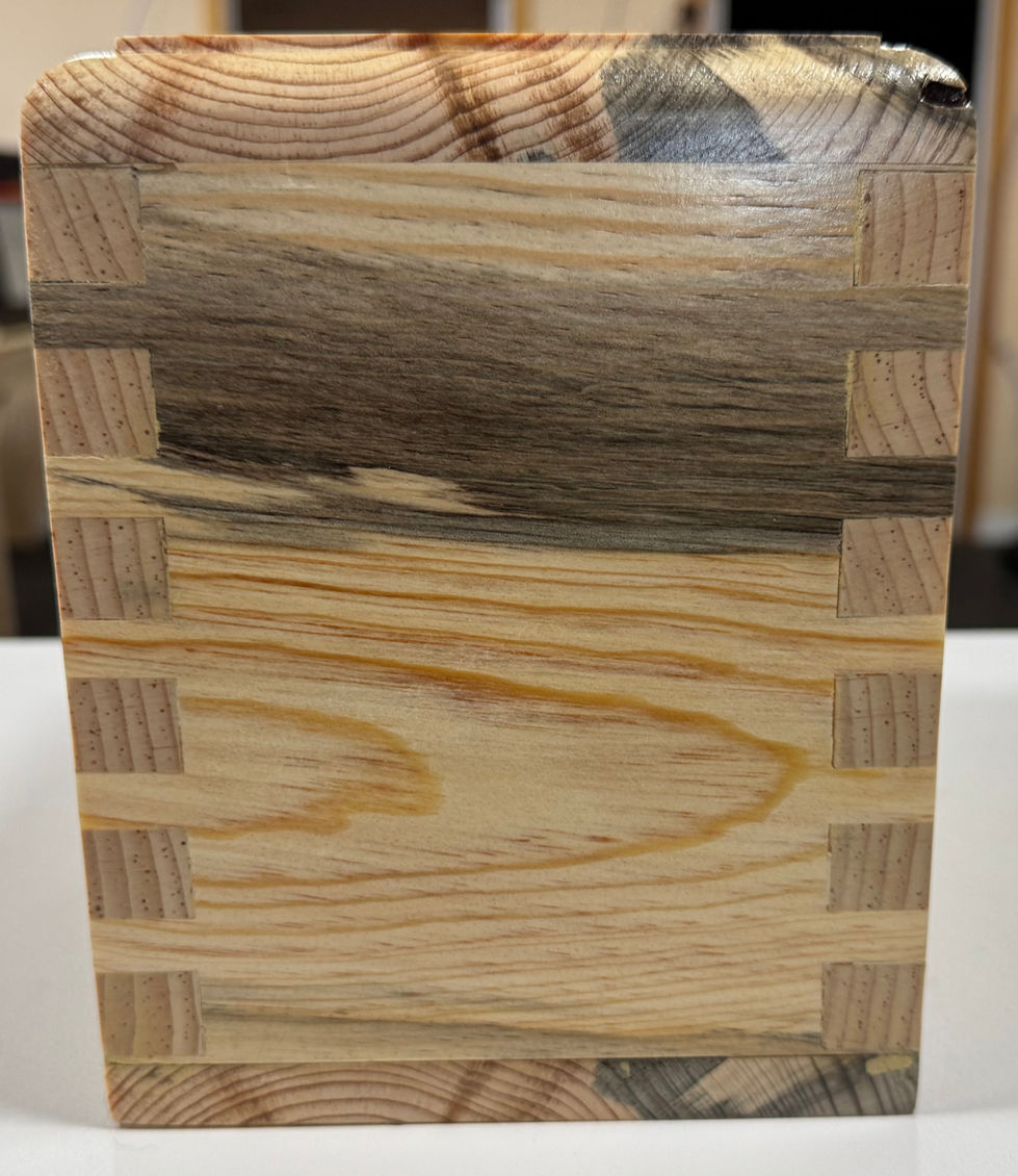 Blue Stain Pine Pet Ash Urn