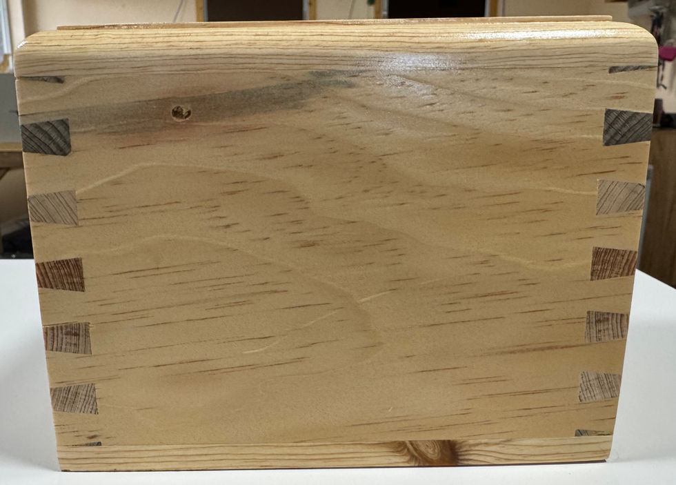 Blue Stain Pine Pet Ash Urn