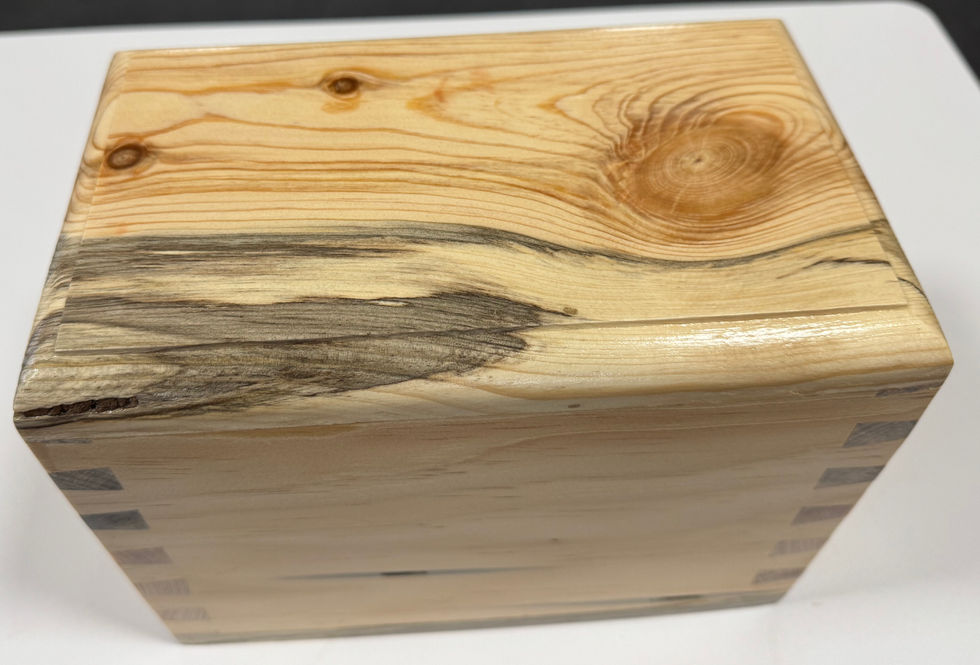 Blue Stain Pine Pet Ash Urn