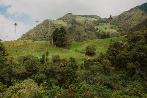 Salento Colombia Motorcycle Tour.jpg