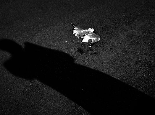 image00004.jpeg