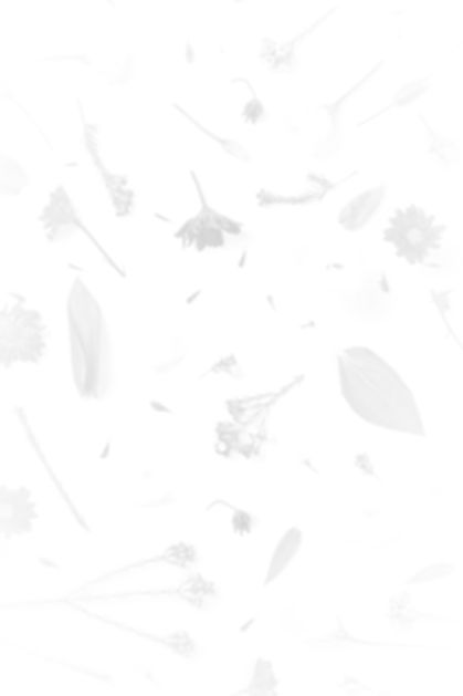 Red Flowers_edited.jpg