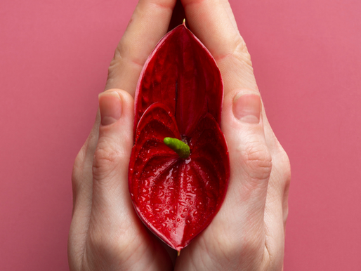 Vulvodynia vs. Vaginismus: What’s the Difference and How Are They Treated?