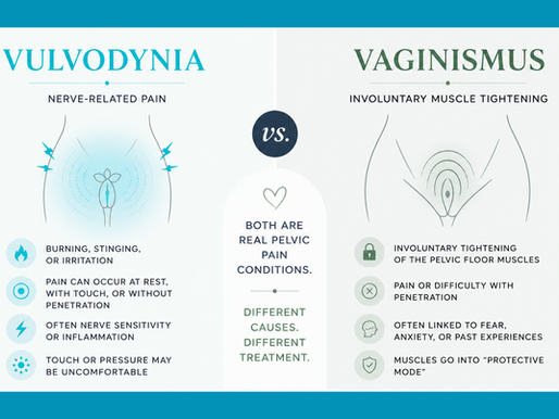 Vulvodynia vs. Vaginismus: Understanding the Difference and Finding Relief