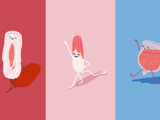Your Period Explained