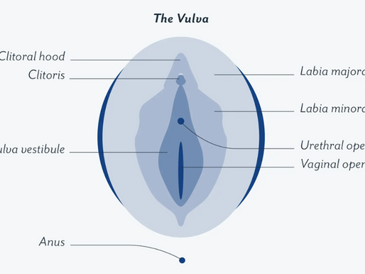 Vulvodynia 101