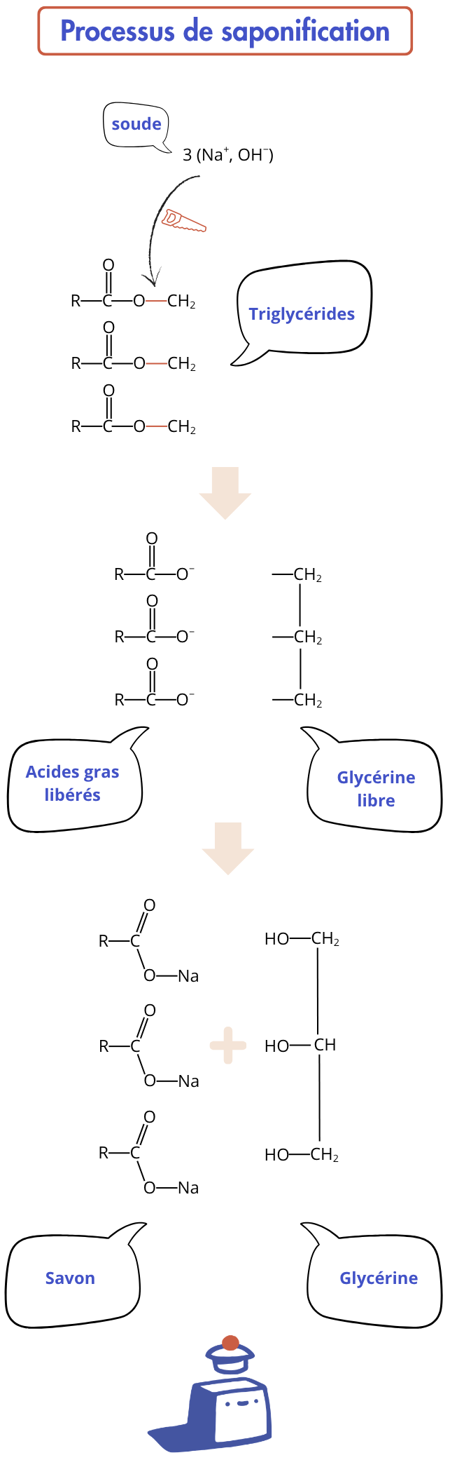 Schéma du processus de saponification: soude + triglycérides → savon + glycérine
