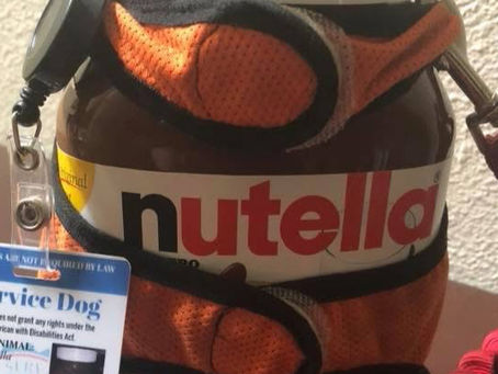 jar of Nutella with harness and ID tag