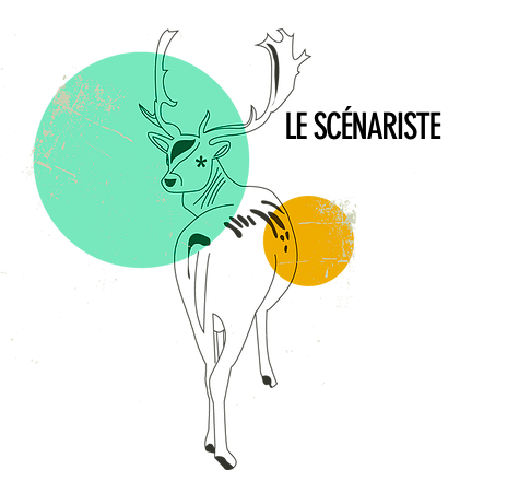Cyril Deydier Auteur et Scénariste