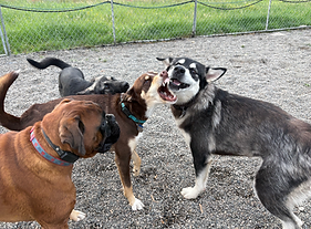 Daycare fun
