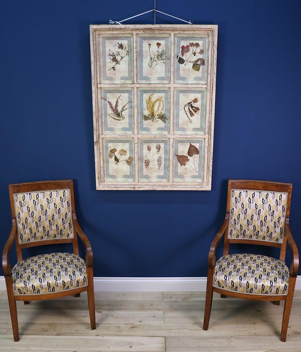 Thumbnail: Pair of Italian Framed Flower Pressings