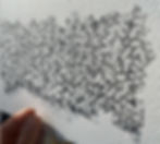 Close-up of "Sans titre #2", a 2024 artwork by Barbara Christol showing fine threadwork and ink on paper, highlighting delicate linear textures.