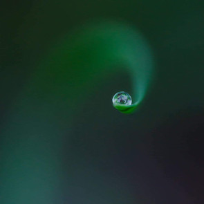 Close-up of a water droplet on green background.