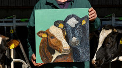 Een schilderij van twee koeien. Roodbont en zwartbont. Vastgehouden door een boer aan het voerhek.