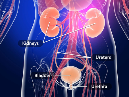 Why Do Women Get Recurrent Urinary Tract Infections? Understanding Causes, Prevention, and Treatment