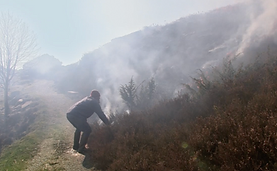 Skjermbilde 2026-03-17 kl. 18.55.15.png