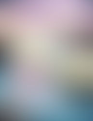 Event: Westies on the Water