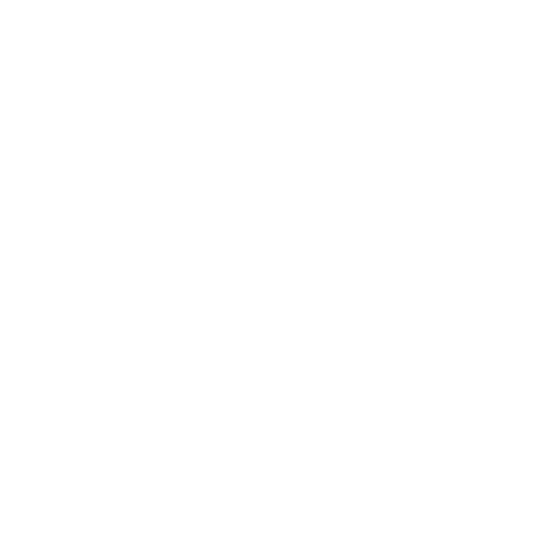 SLH builders white logo.png