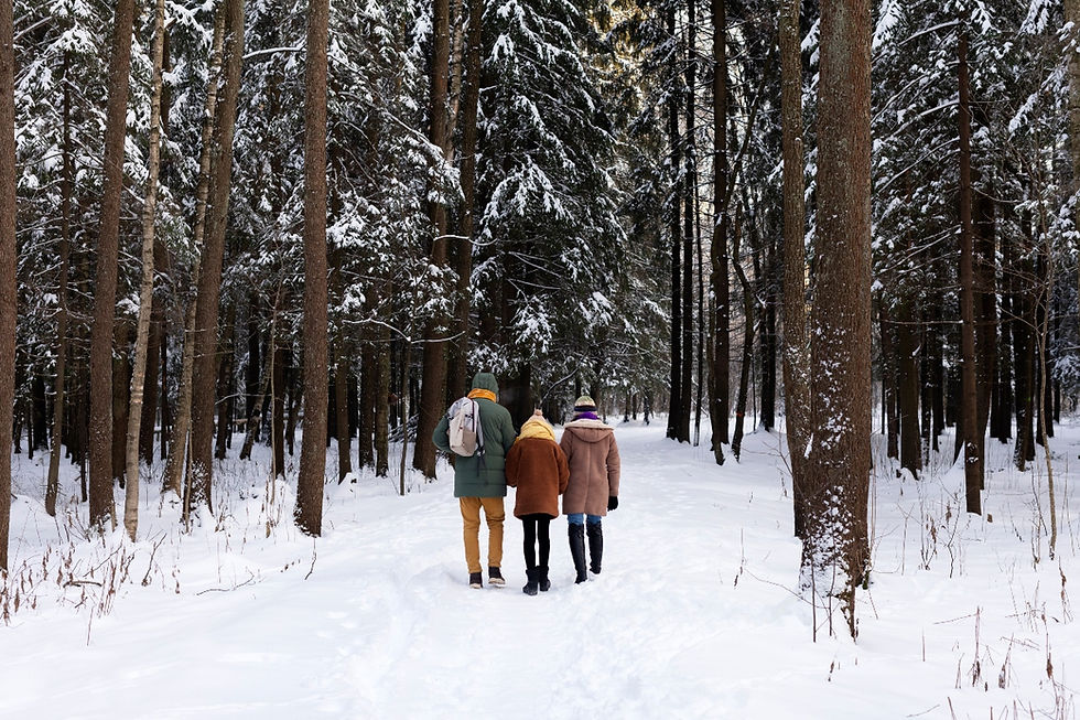3 people walking through the woods, deciding what to do in Missouri in winter.