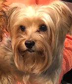 Charlie