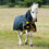 Thumbnail: Ponie Turnout Combo Rug (200g)