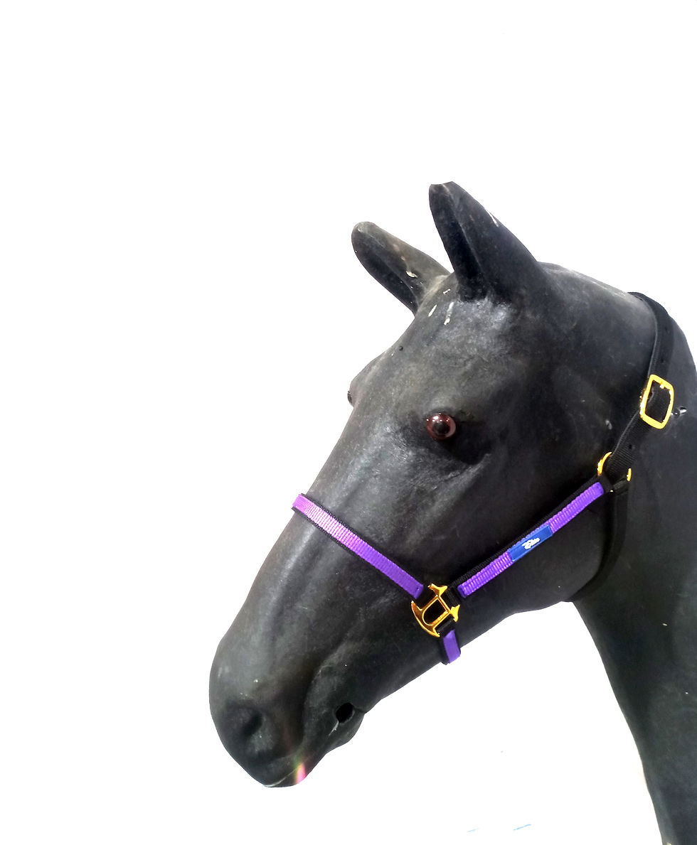 Thumbnail: Black Friday Deal - Elite Head Collar
