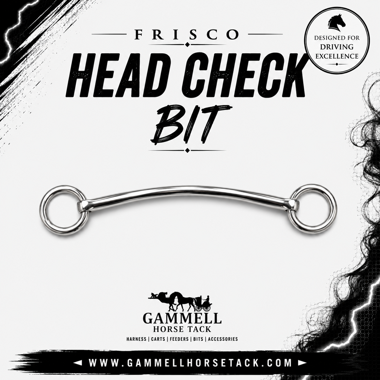 Head Check Bit