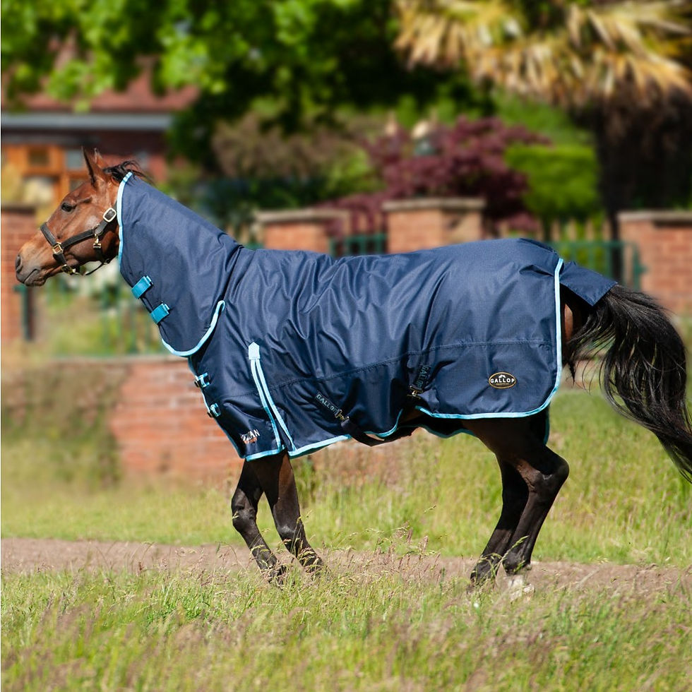 Trojan Turnout Combo Rug (350g)