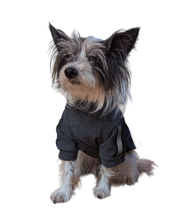 Thumbnail: Personalized Dog T-shirt