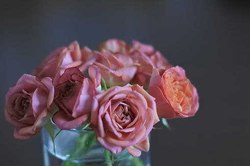 AdobeStock_128431521.jpeg
