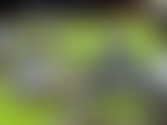 A casa inteligente (parte exterior)