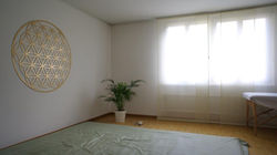 naturheilpraxis_nicole_studer_luzern_bahandlungszimmer