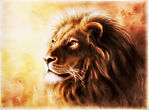 Lion-king-scaled-1.jpg