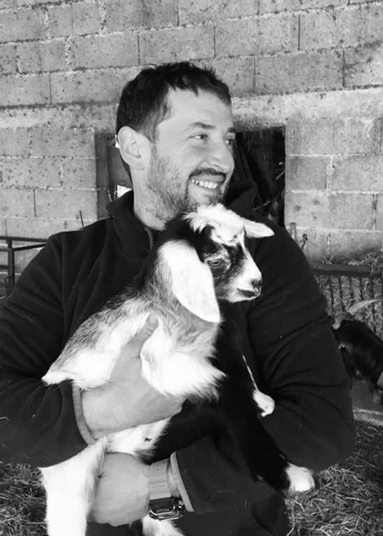 Notre fromage estive 100% brebis Ossau-Iraty Béarn Pays-Basque Pyrénées