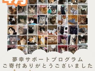 2025年4月【夢幸サポートプログラム】ご寄付報告