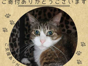 2024年7月ご寄付報告