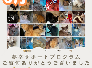 2025年5月【夢幸サポートプログラム】ご寄付報告