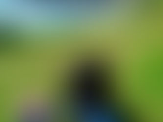 Perrot over Vault Beach