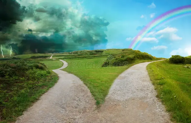 WHAT ROAD WILL YOU TAKE