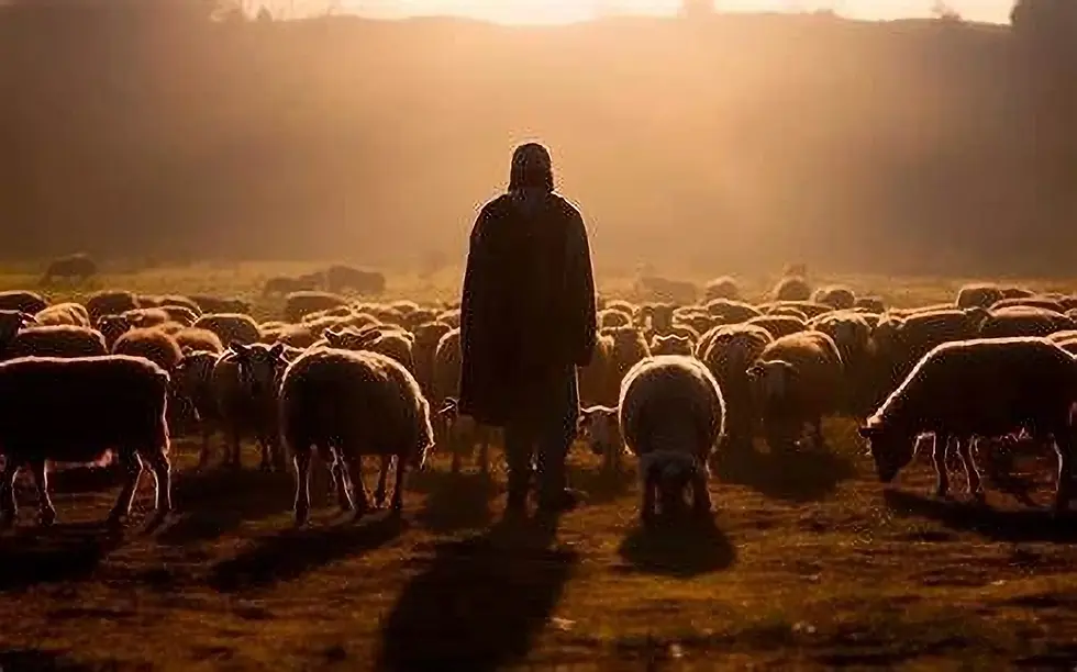 SHEPHERD OVER THE SHEEP