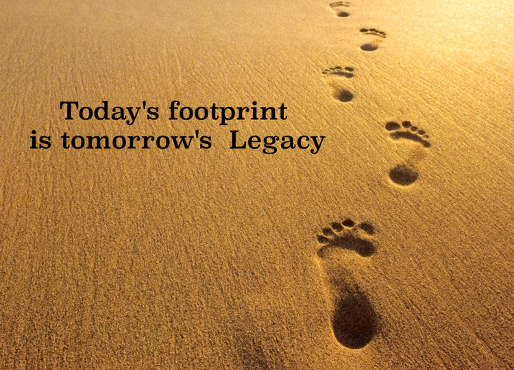 Inherited Legacy: Understanding the Weight of Family Expectations