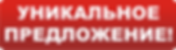 Уникальное предложение заголовок.png