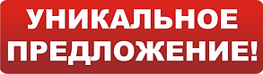 Уникальное предложение заголовок.png