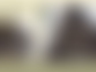 Cork Board being installed to a Grade II Listed property