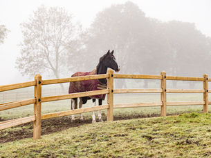 UK | HUDDERSFIELD | PREMIUM SQUARE GREEN FENCING