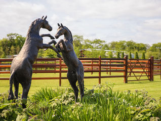 IRELAND | KARLSWOOD STABLES | PREMIUM & TRADITIONAL