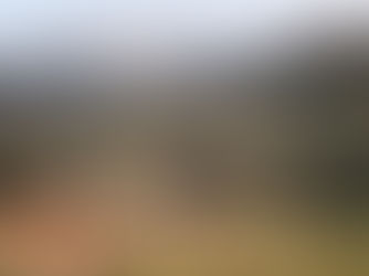 SLOVENIA | PRIVATE DRESSAGE YARD | PREMIUM ASCOT FENCING