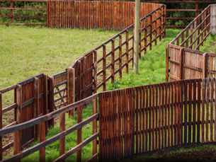 IRELAND | Coolmore Stud