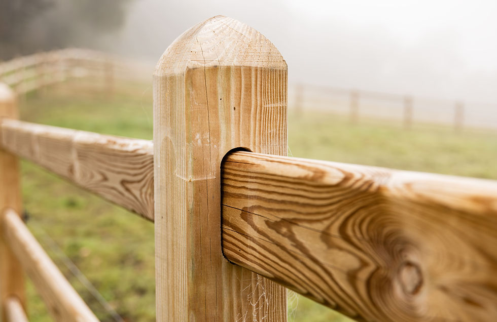 square green - cover.jpg